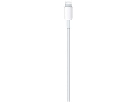 APPLE Cavo da USB-C a Lightning (1 m)